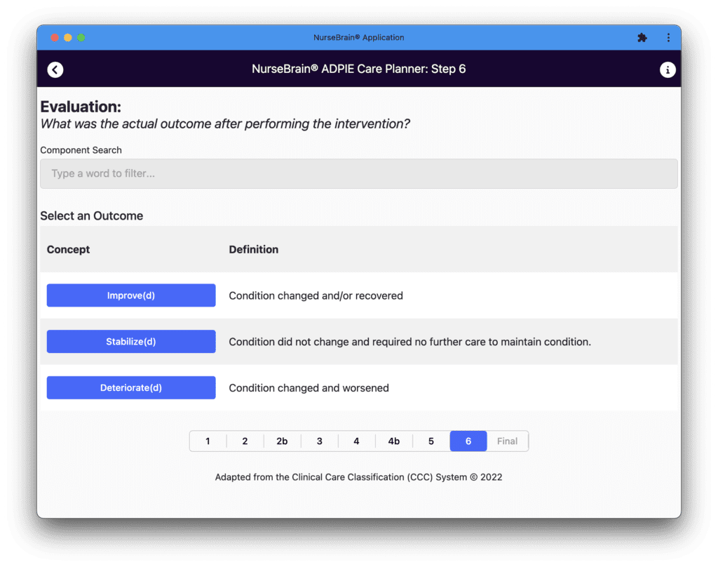 The evaluation screen of the Nursing Care Plan