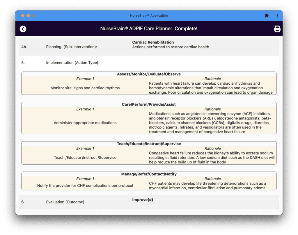 The summary screen continued of the Nursing Care Plan